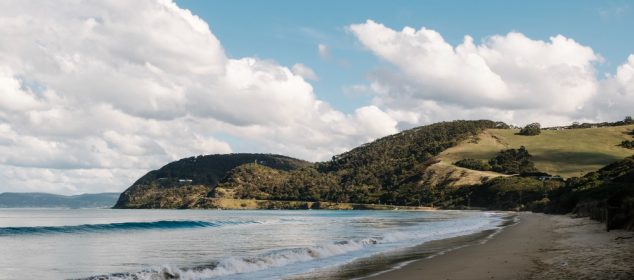Plaje de neratat din Noua Zeelandă